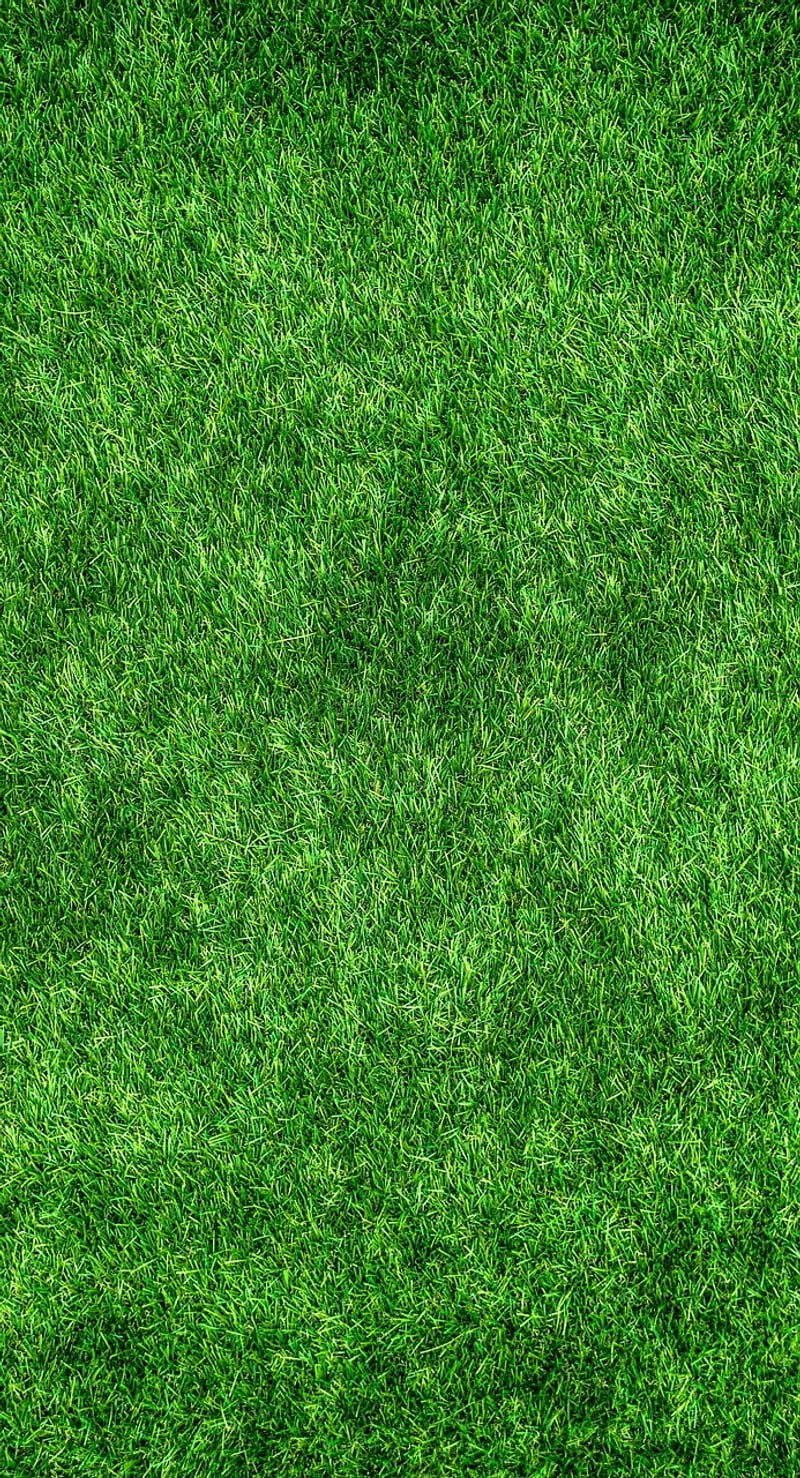 Eco-Friendly Clothing