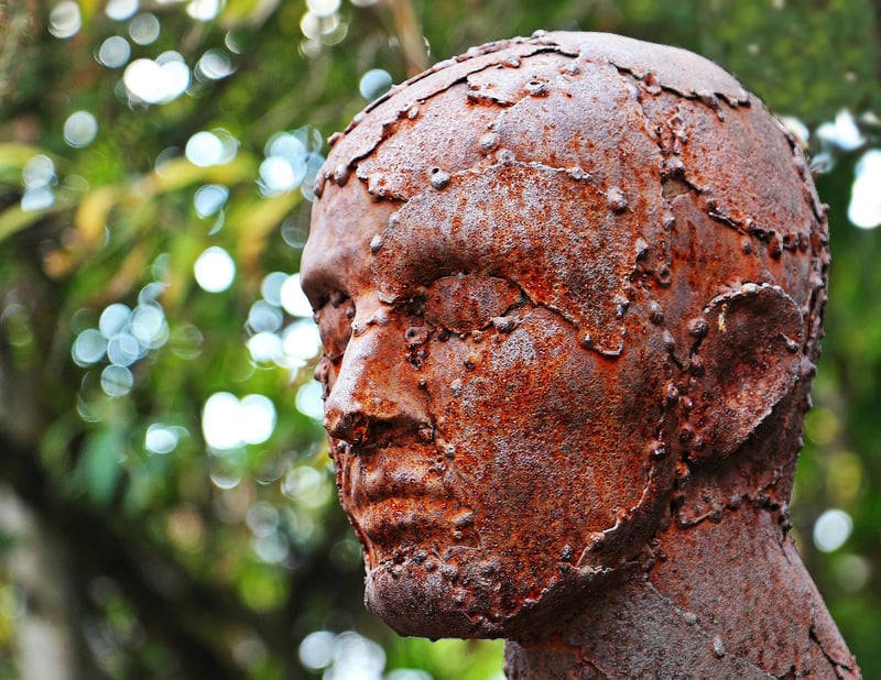 Sculptures from Trash